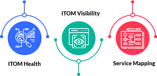 Software License Management
